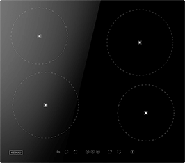 Induktionsfeld Reparatur Königsbrunn